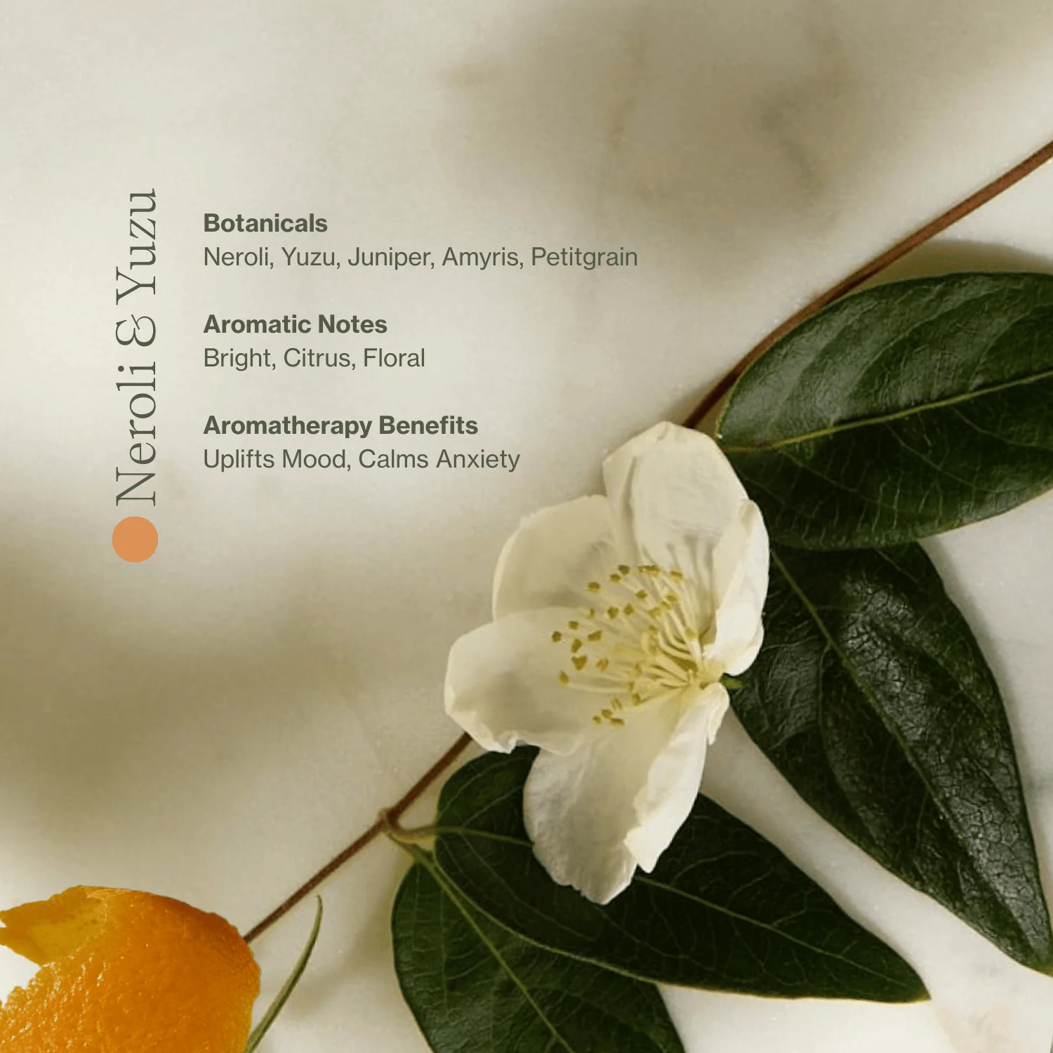Apoterra Vitamin C Body Oil - Image 10