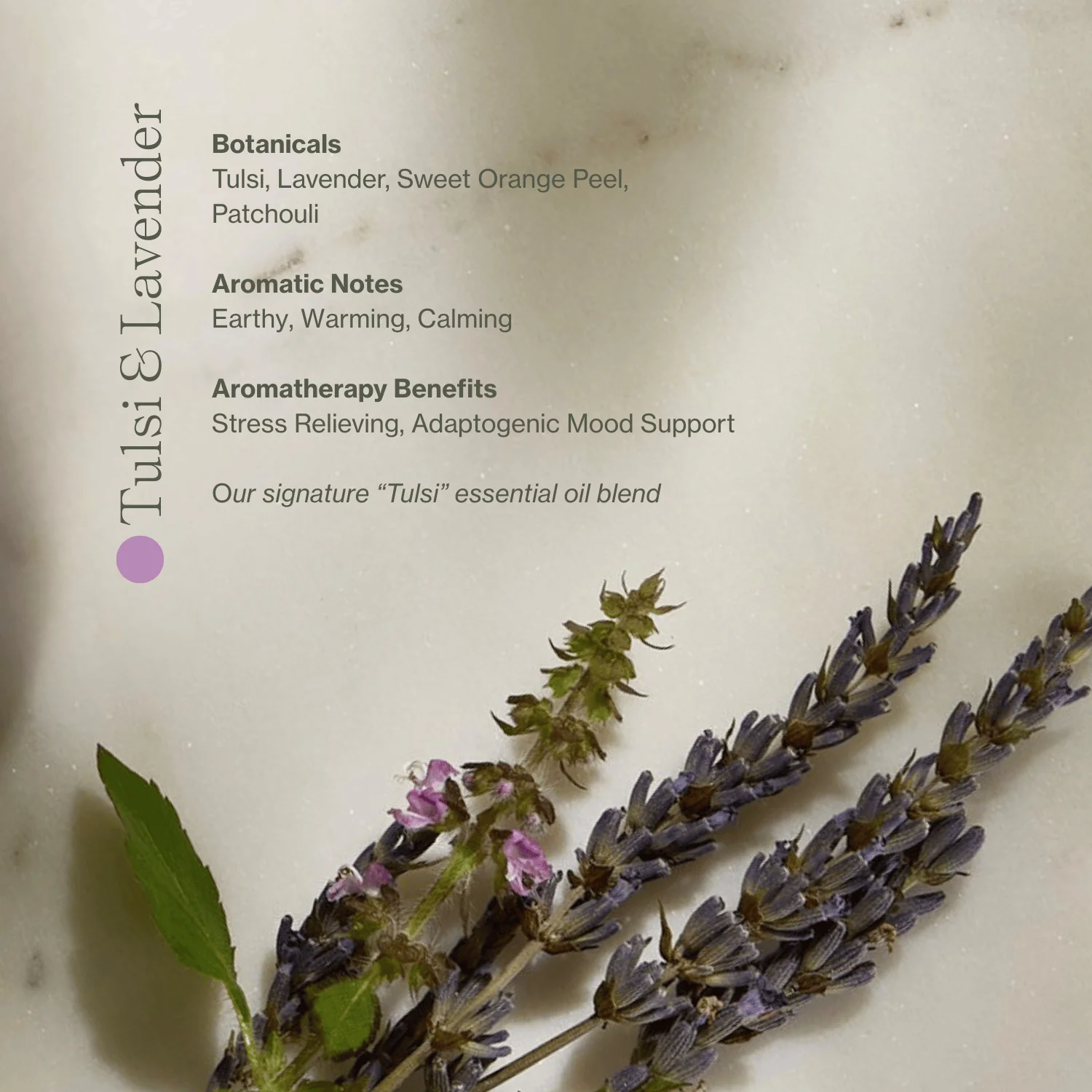 Apoterra Vitamin C Body Oil - Image 13
