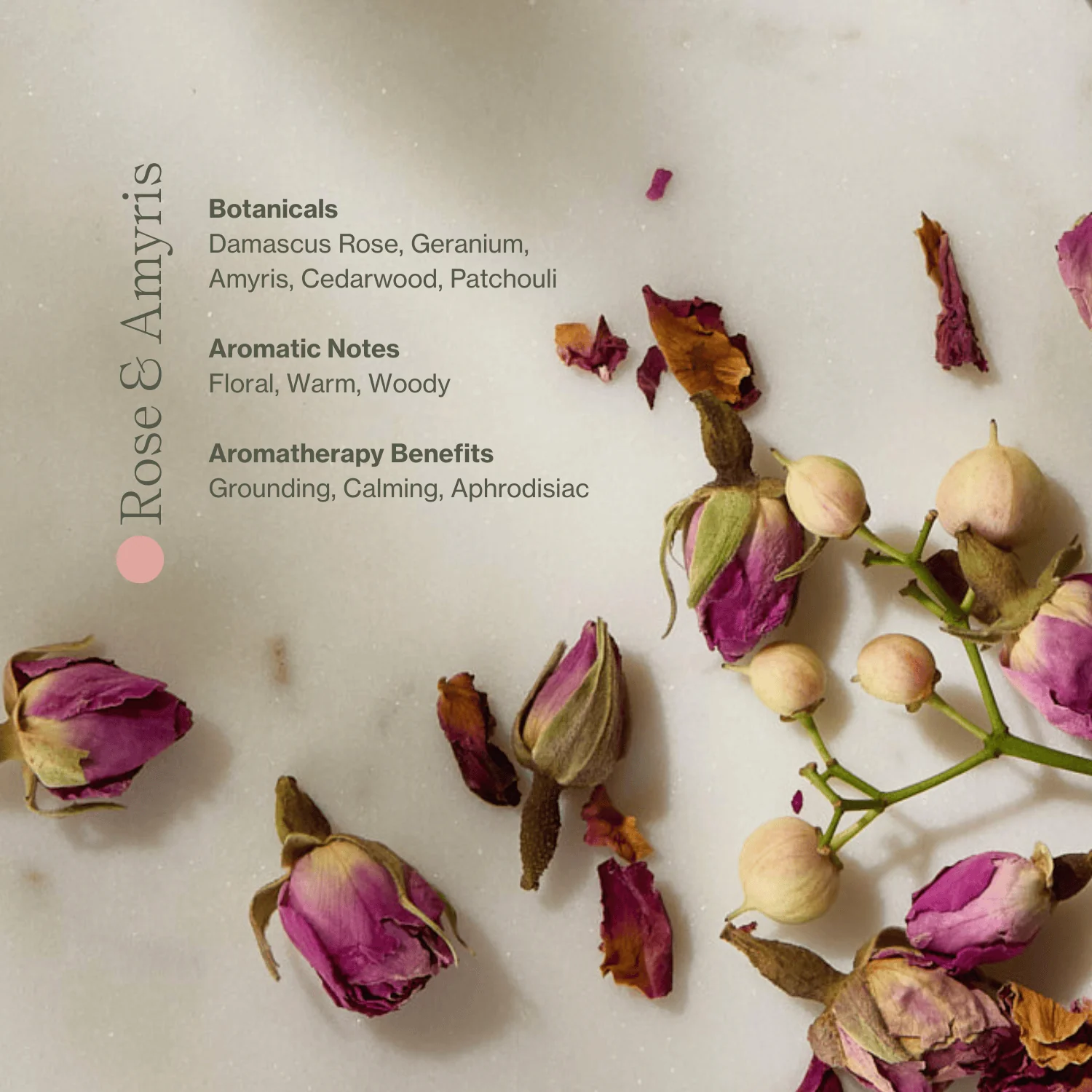 Apoterra Vitamin C Body Oil - Image 3