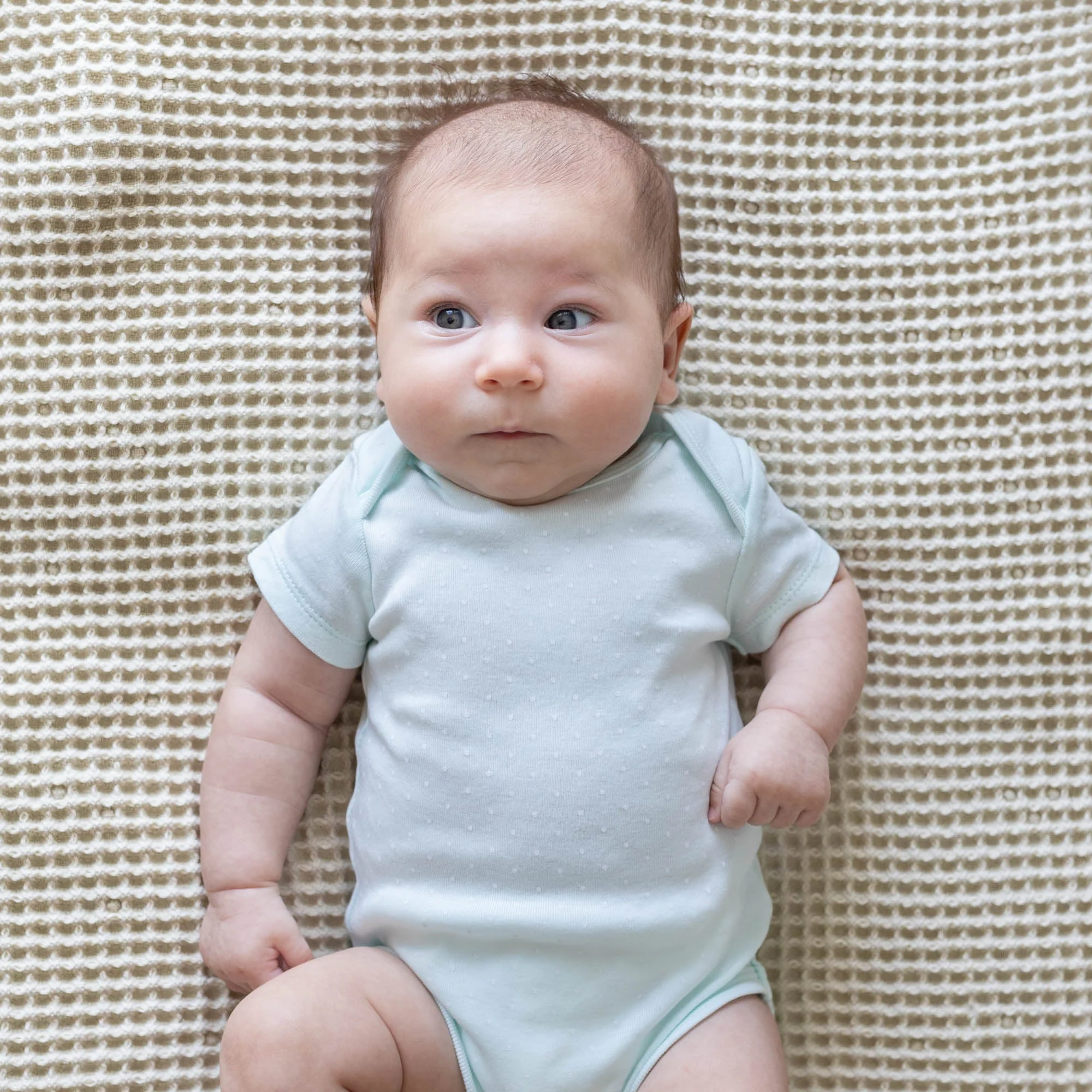 Organic Cotton Mart Waffle Baby Blanket - Image 6