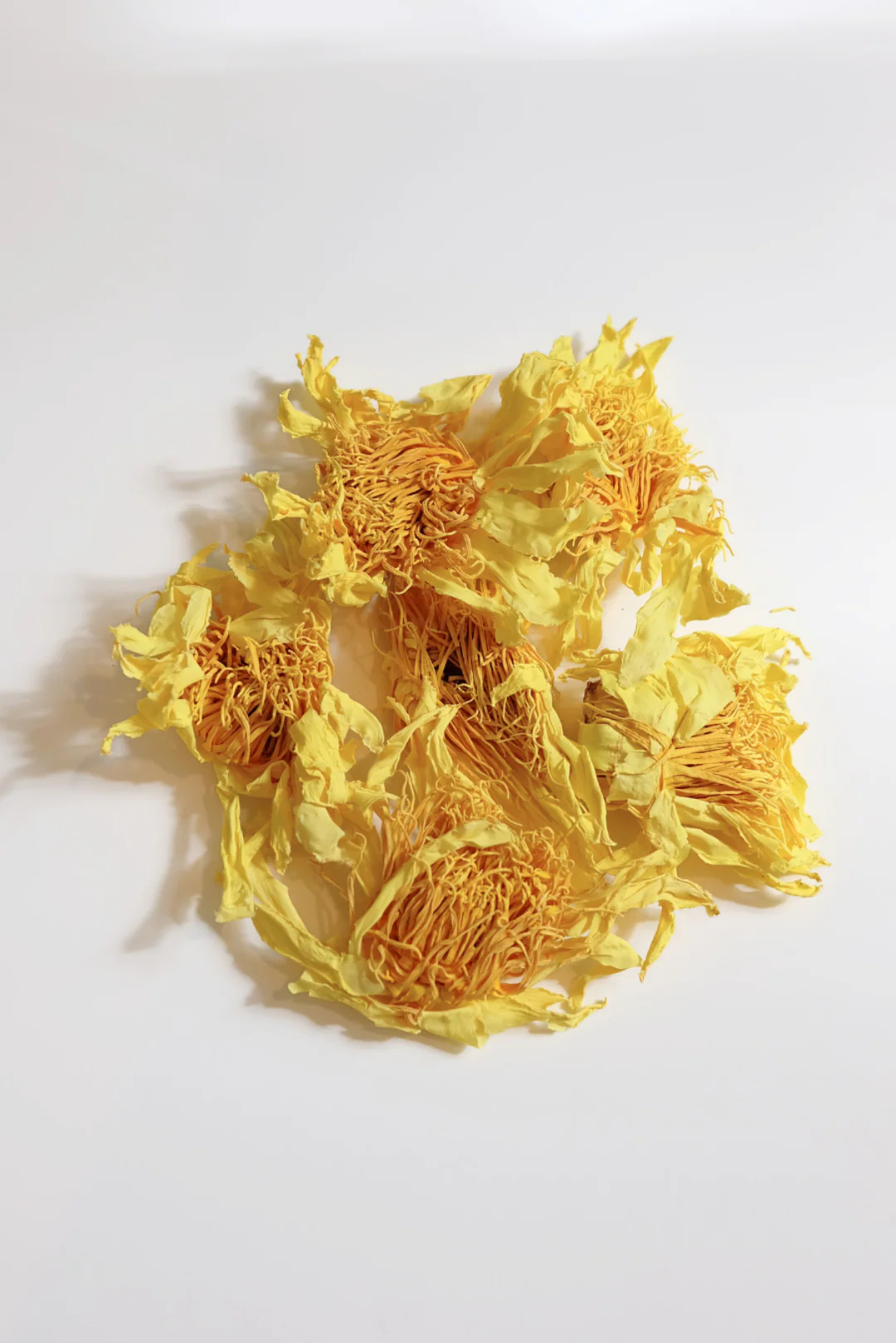 Mala Tara Water Lily Whole Flower Tea Pouch - Image 2