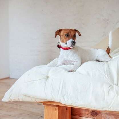White Lotus Waterproof Organic Cotton Mattress Protector - Image 2