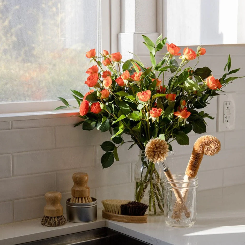 Zero Waste Store Zero Waste Dish Brush Kit - Image 5